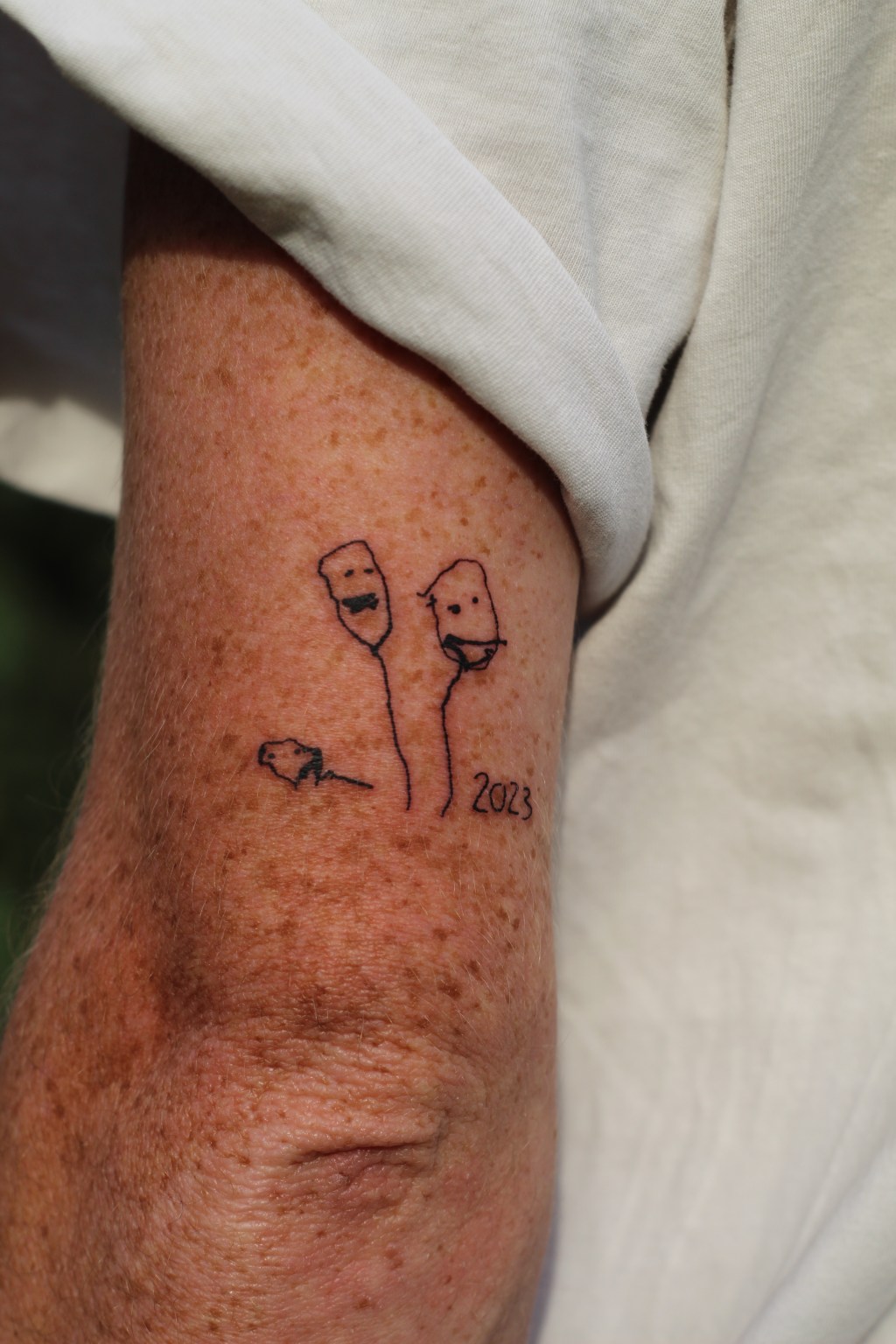 Hope, Bianca and Minnie, From Georgia to&nbsp;Istanbul