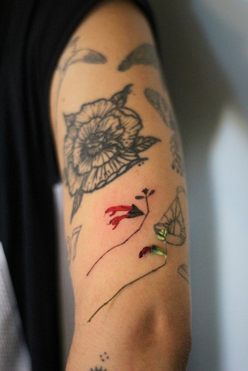 Capturing Memories: A Tattoo Story in&nbsp;Istanbul