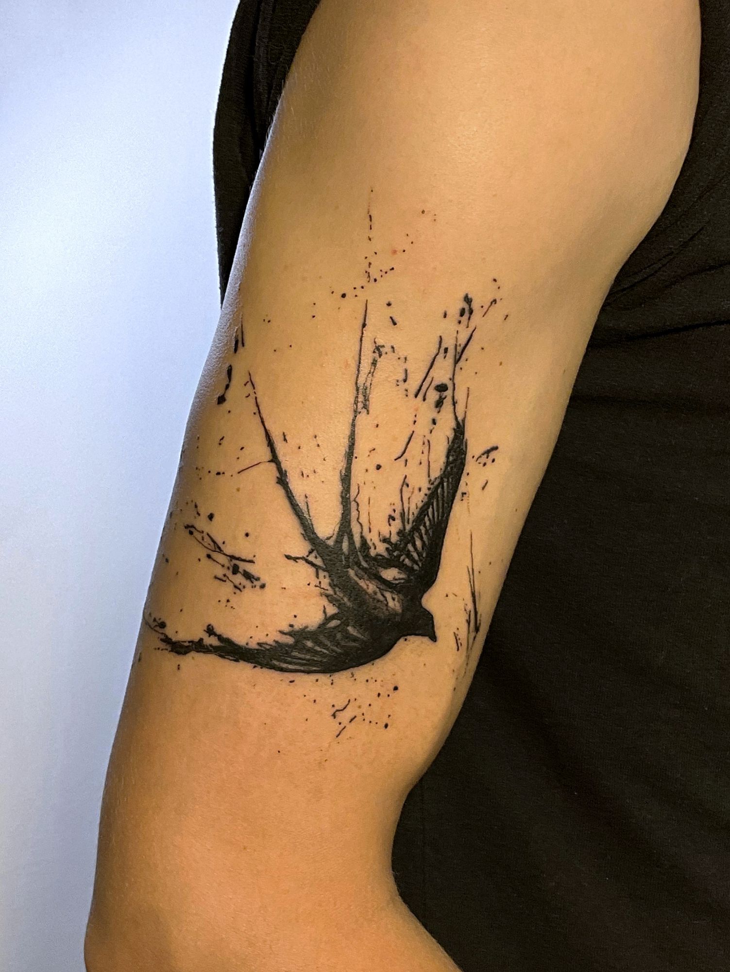 Memorable Hostel Meetings and Swallow&nbsp;Tattoos